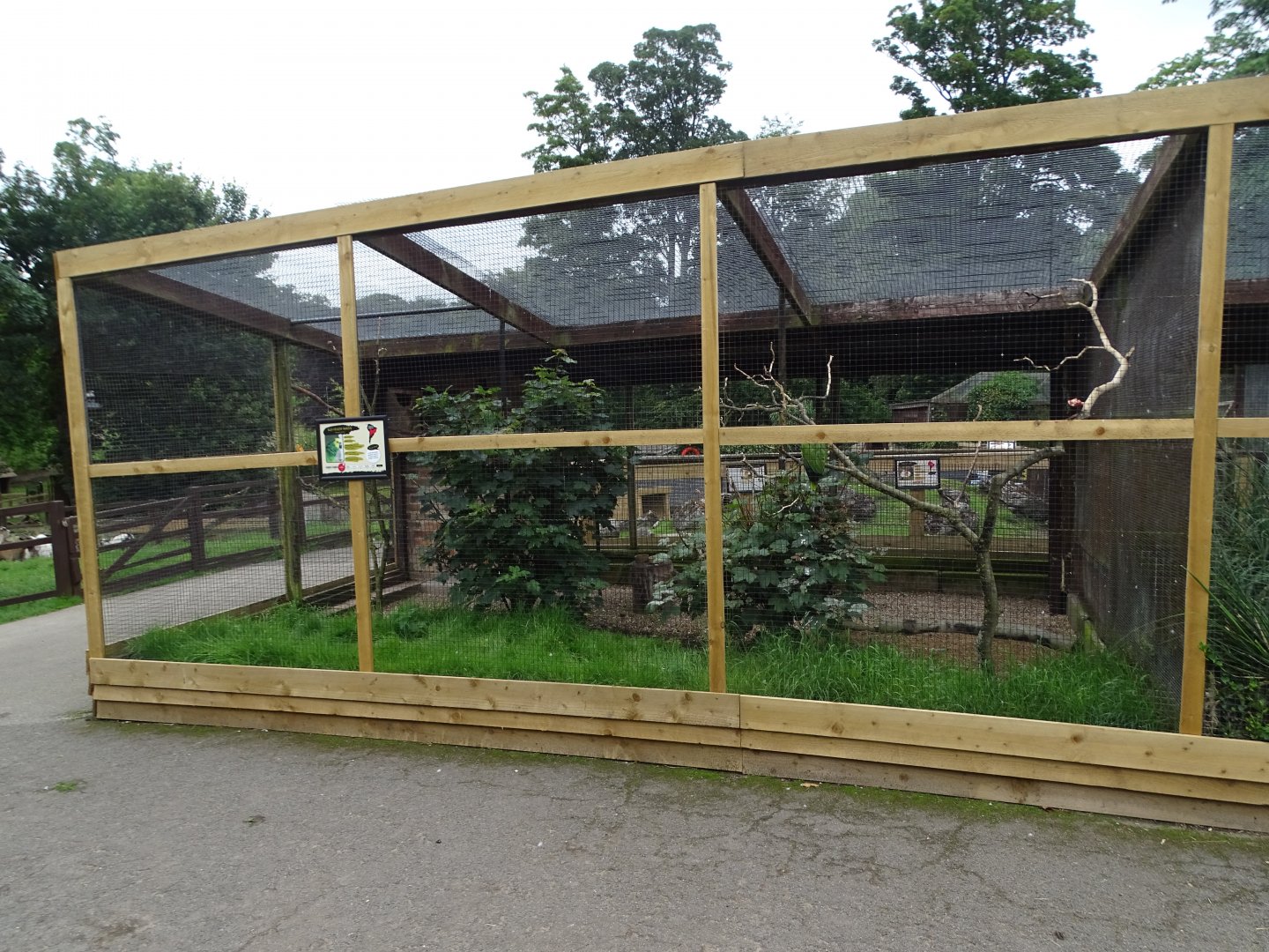 Central aviary refurbished for Amazon parrots, 16th July 2024