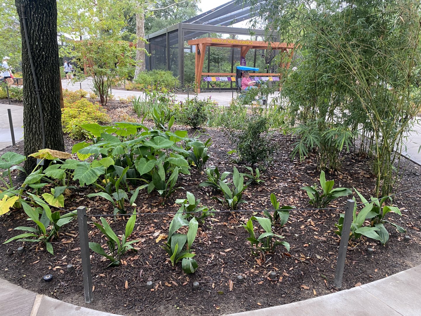 Central Bird Friendly Garden