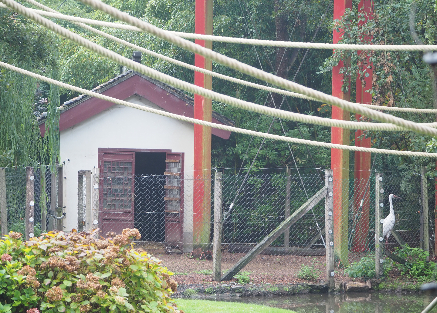 Central Chinese goral and Siberian crane barn and separation paddock, 2022-09-15