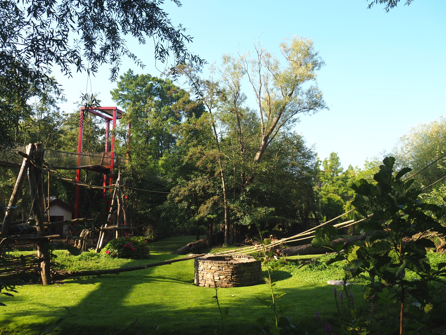 Central Chinese goral and Southern yellow-cheeked gibbon exhibit, 2021-09-03