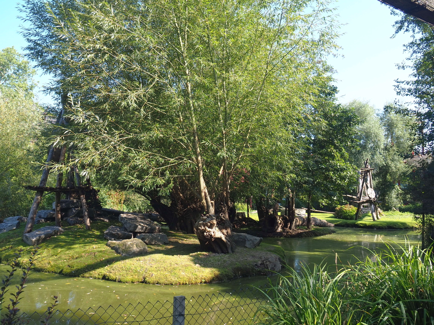 Central Chinese goral and Southern yellow-cheeked gibbon exhibit, 2021-09-03
