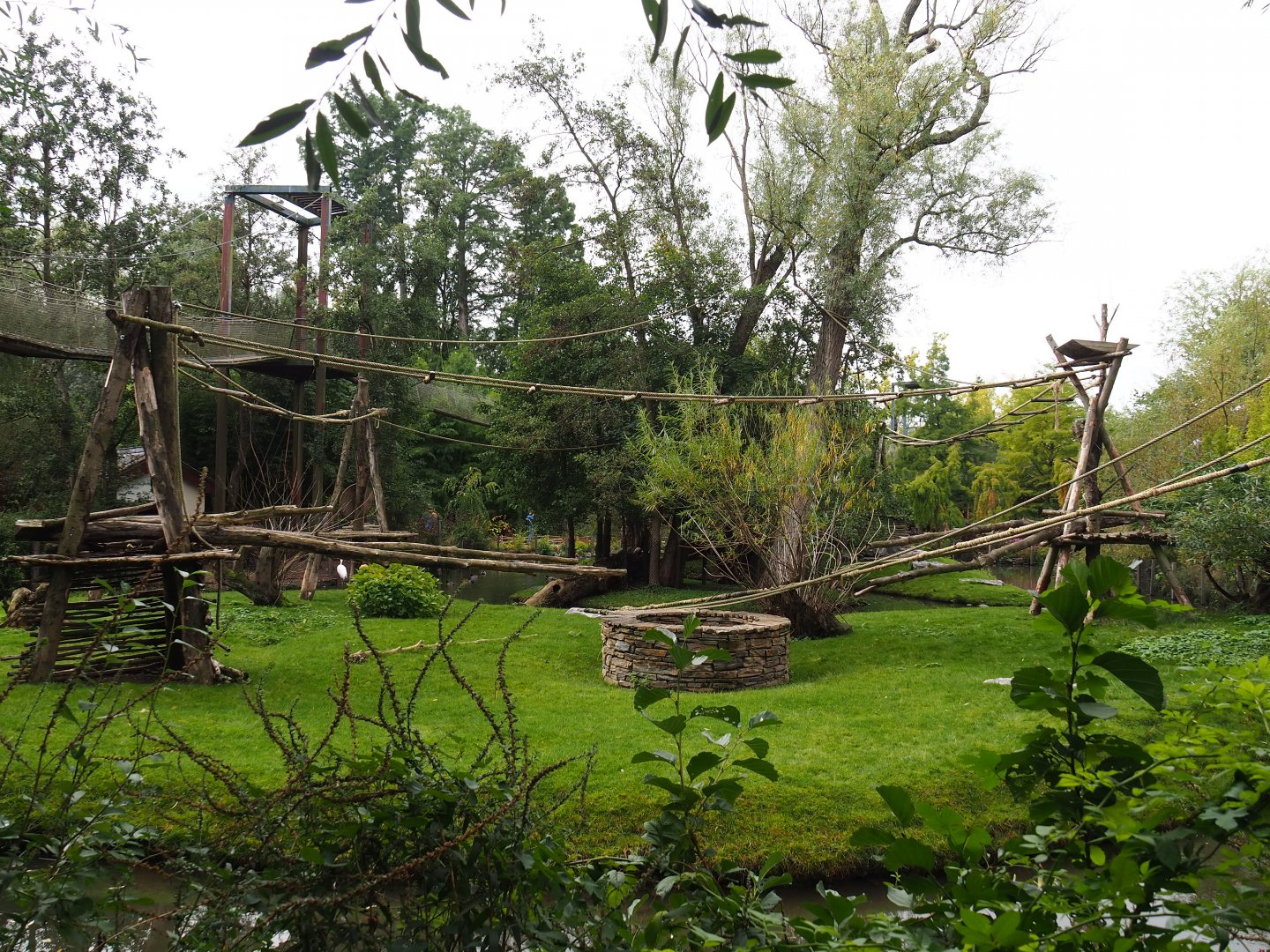 Central Chinese goral and Southern yellow-cheeked gibbon island, 2019-10-05