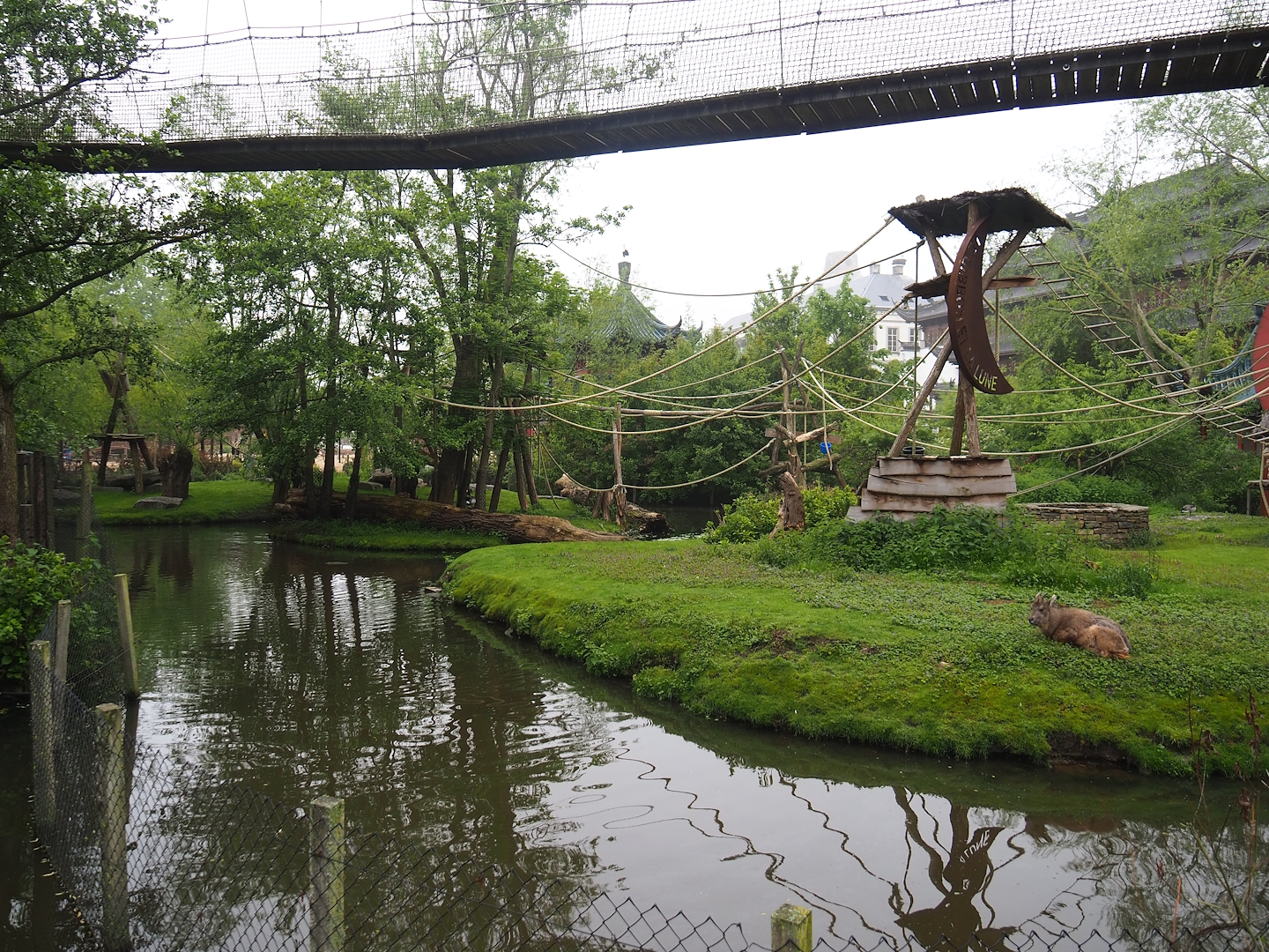 Central Chinese goral, Southern yellow-cheeked gibbon and Siberian crane exhibit, 2023-05-15