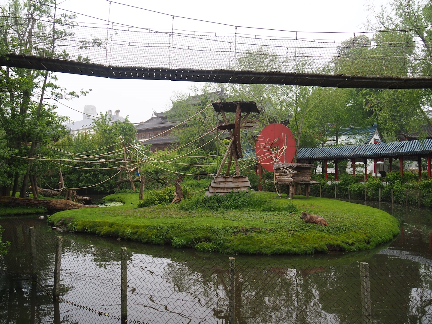 Central Chinese goral, Southern yellow-cheeked gibbon and Siberian crane exhibit, 2023-05-15