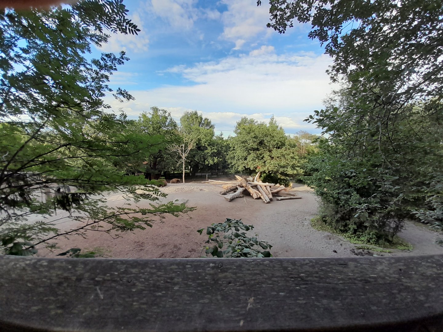Central European wild boar and European bison paddock