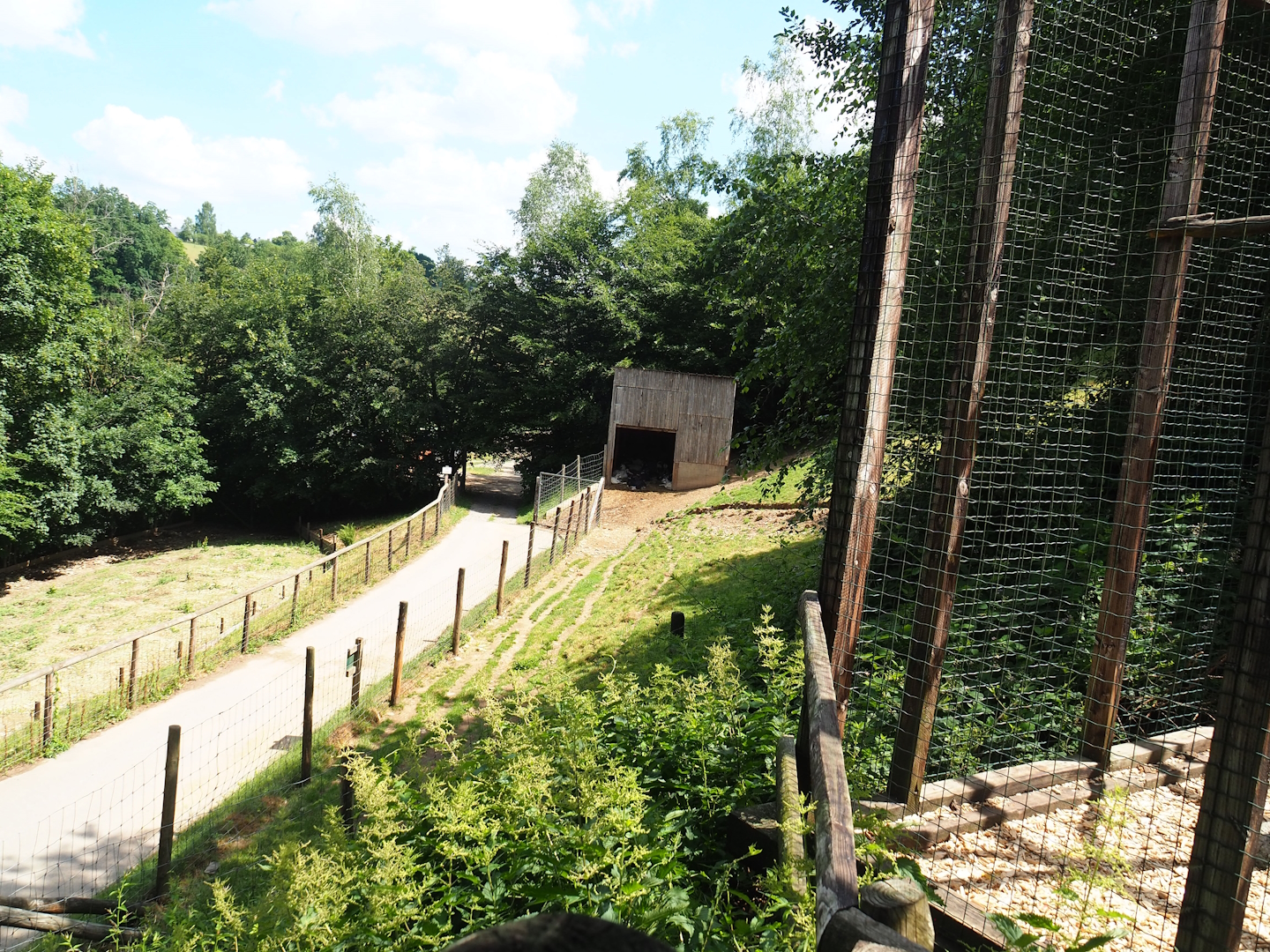 Central European wild boar and Pyrenean goat paddocks, 2023-06-24