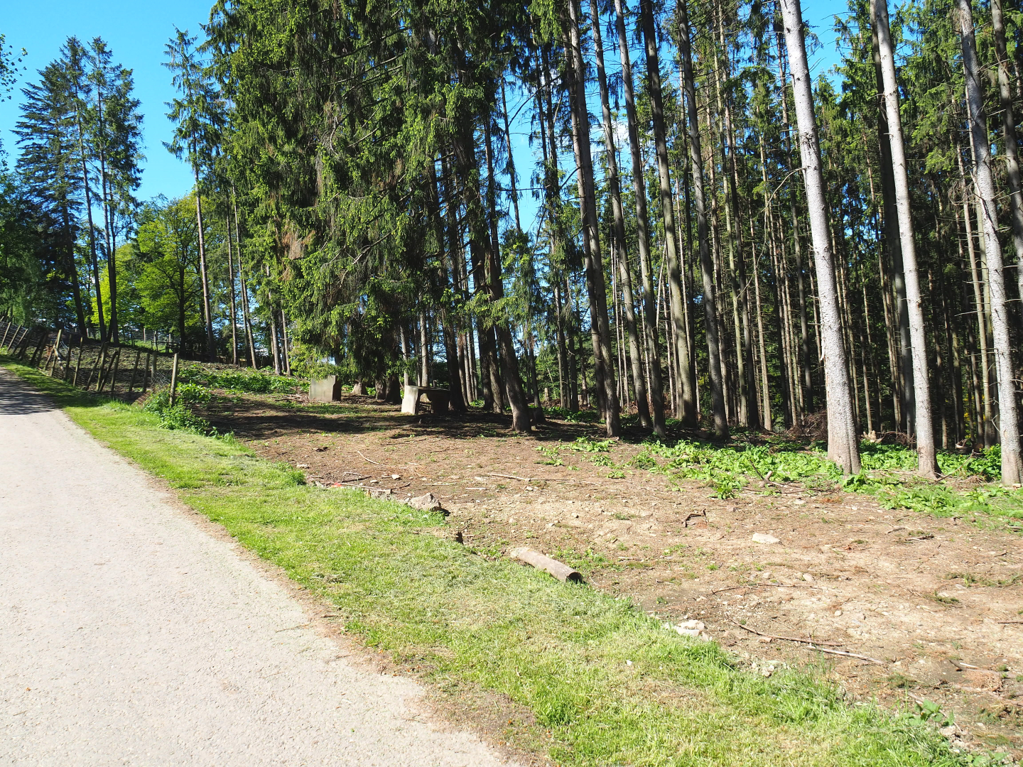Central European wild boar area with ongoing renovation of fencing, 2021-05-29