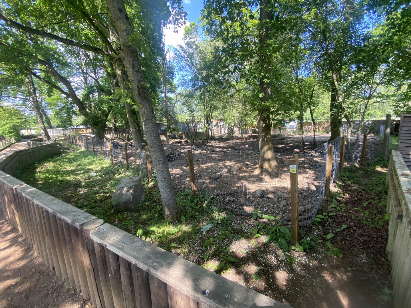 Central European wild boar enclosure 090525
