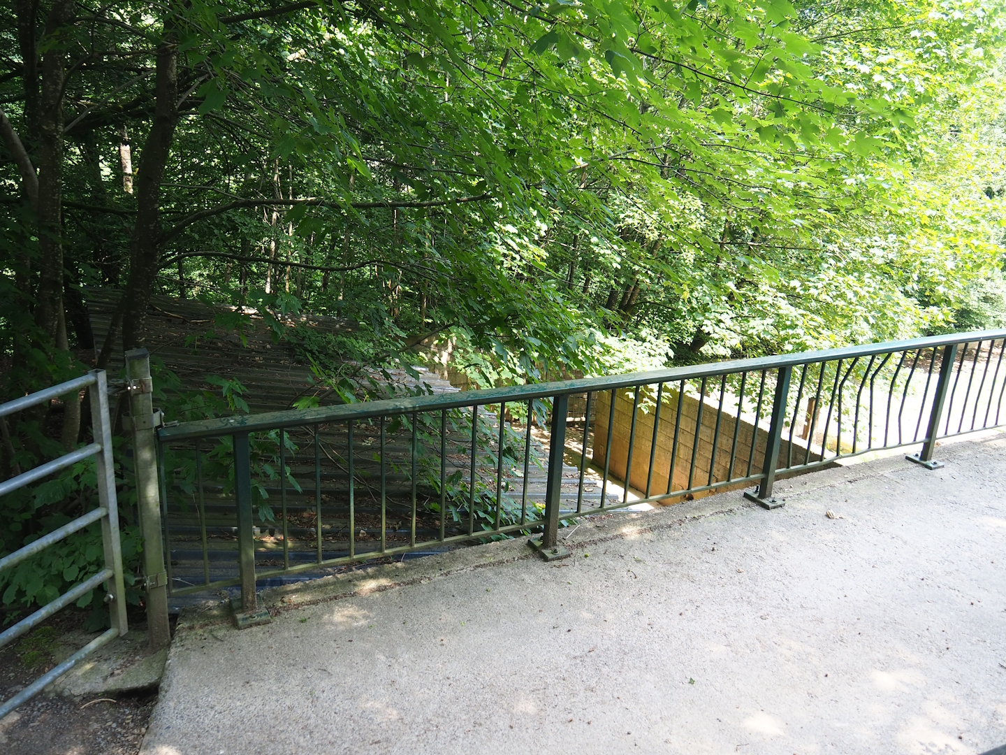 Central European wild boar shelter and holding area, 2023-06-24