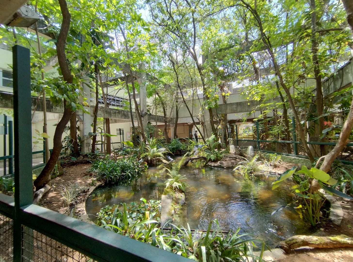 Central exhibit of the aquarium - Belo Horizonte zoo