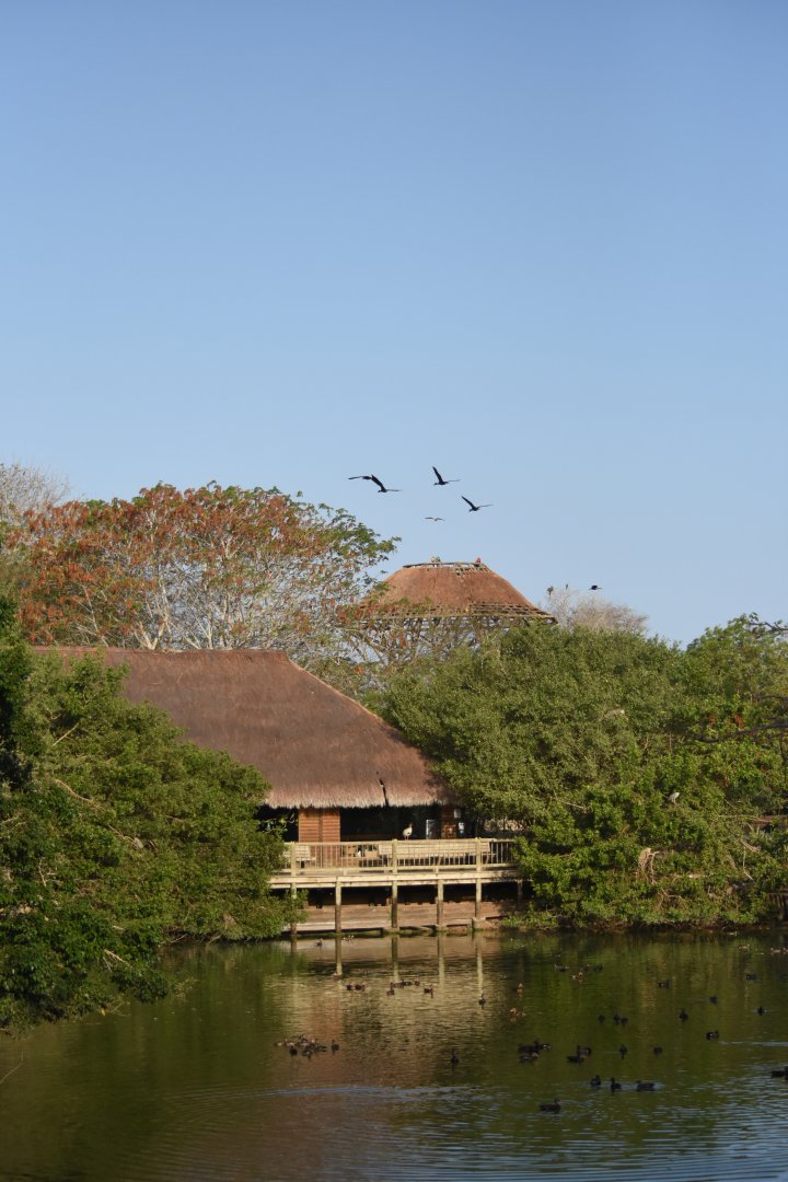Central lake and gift shop