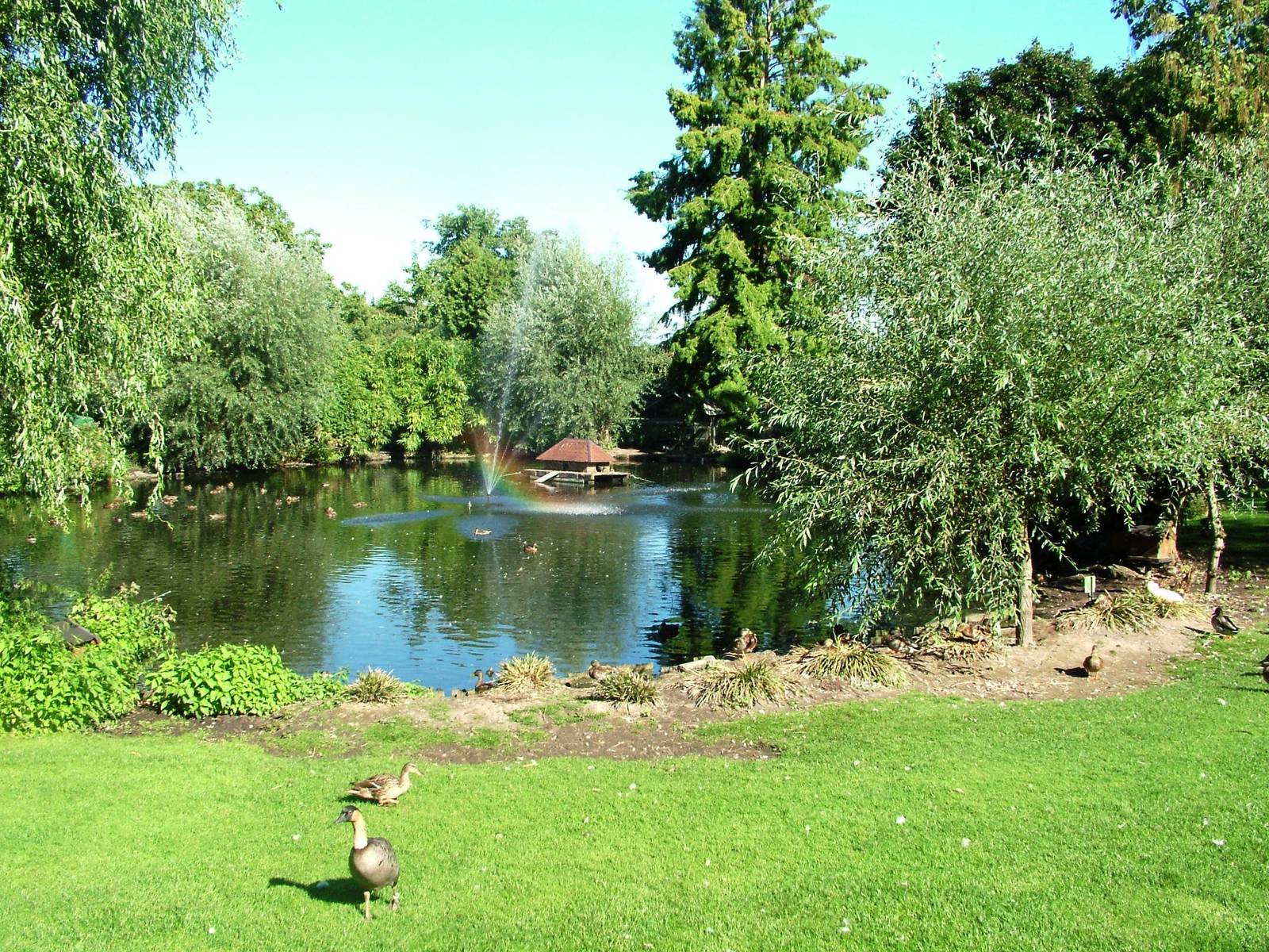 Central Lake at Vogelpark Oberhausen, 06/09/2010
