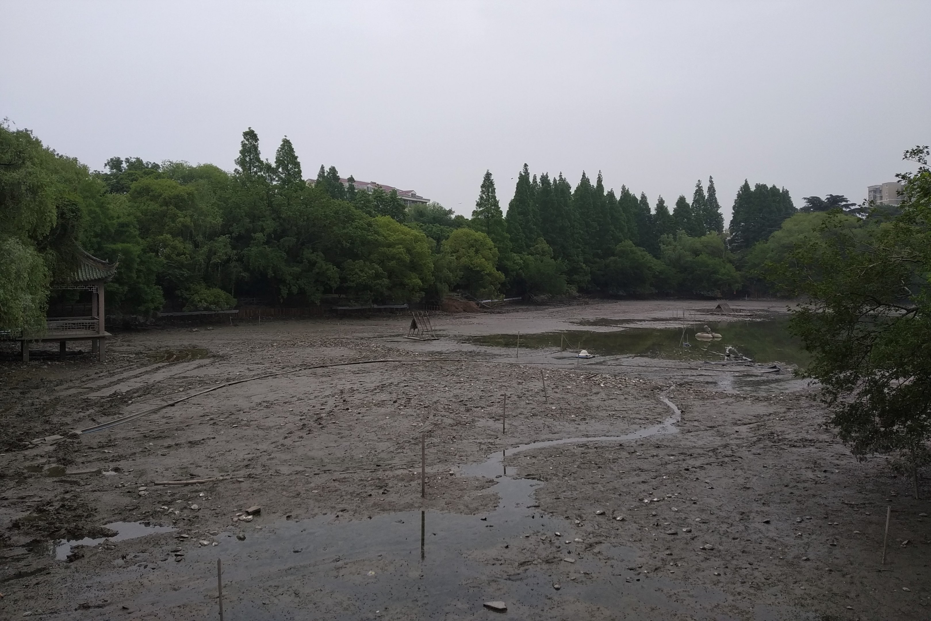 Central Lake, Drained