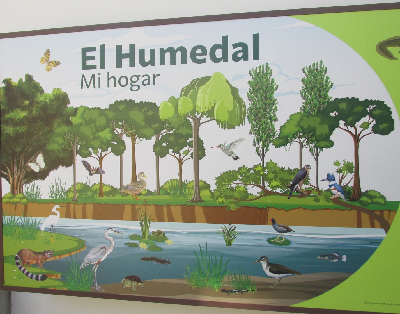 Central Mexican Wetland mural