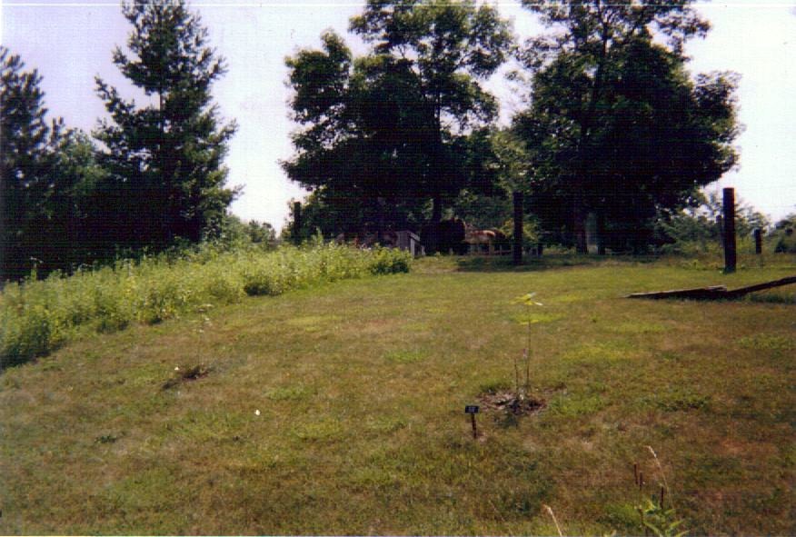 Central Ohio Prairie Flora Display With View Into the Bison / Pronghorn Pad