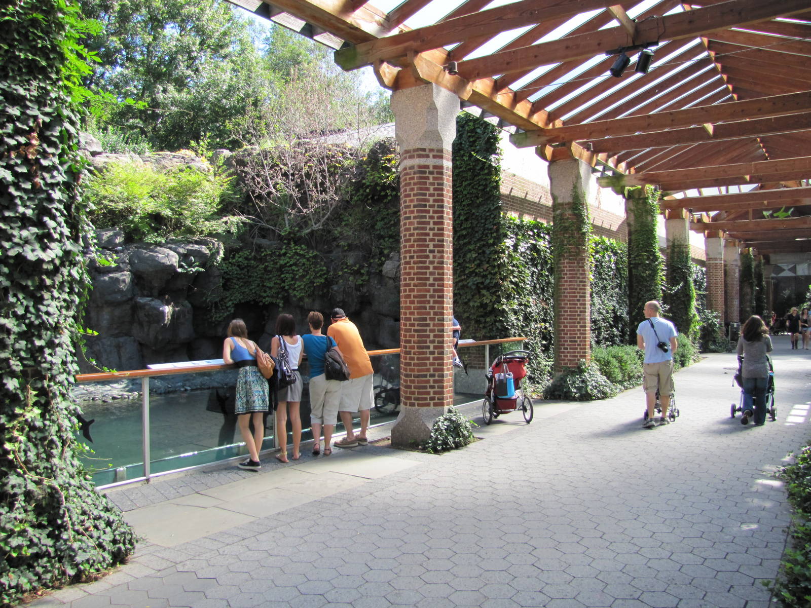 Central Park Zoo 2010 - Alongside Common Seal exhibit