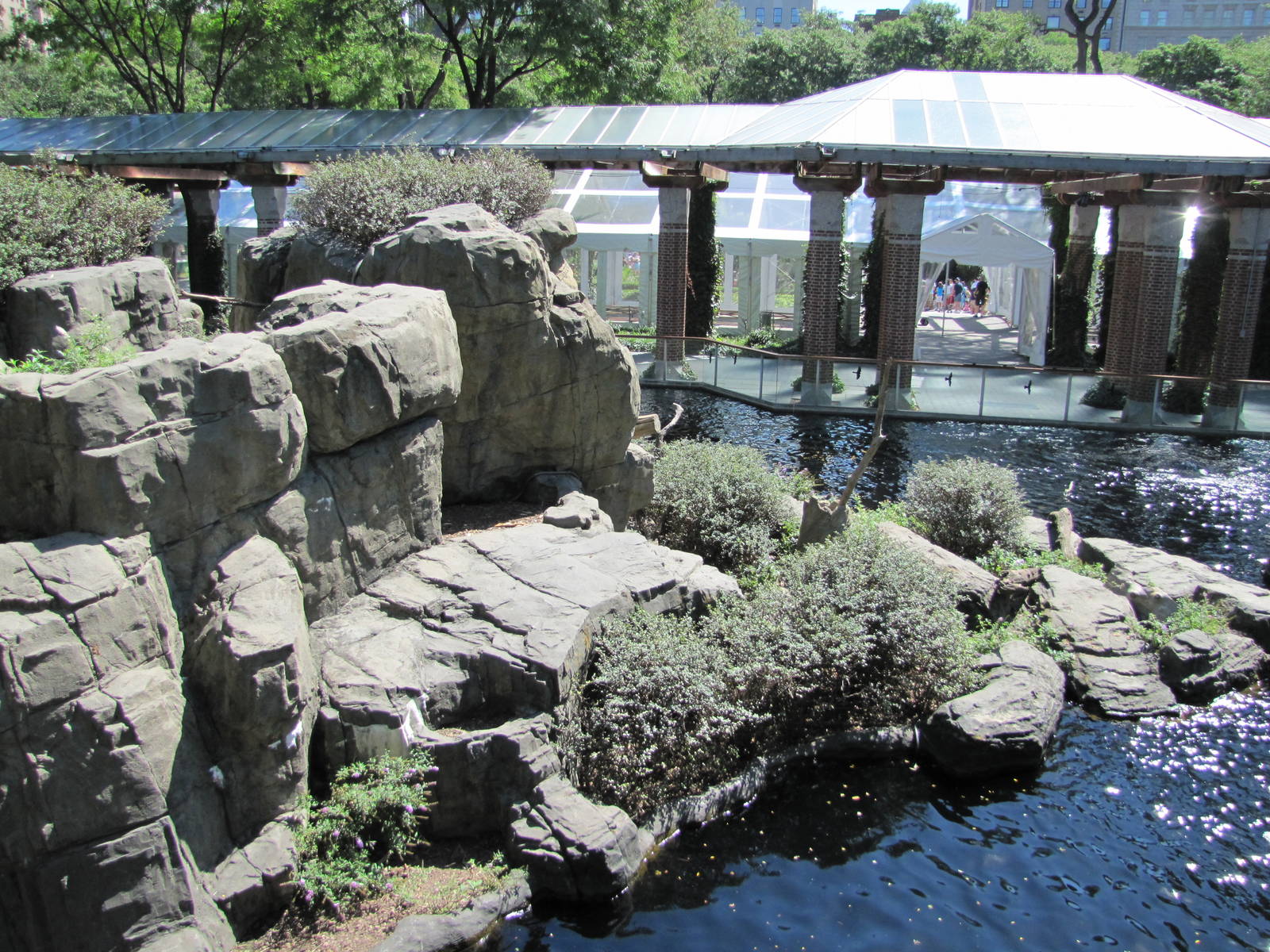 Central Park Zoo 2010 - Another part of Part of Japanese Macaque exhibit