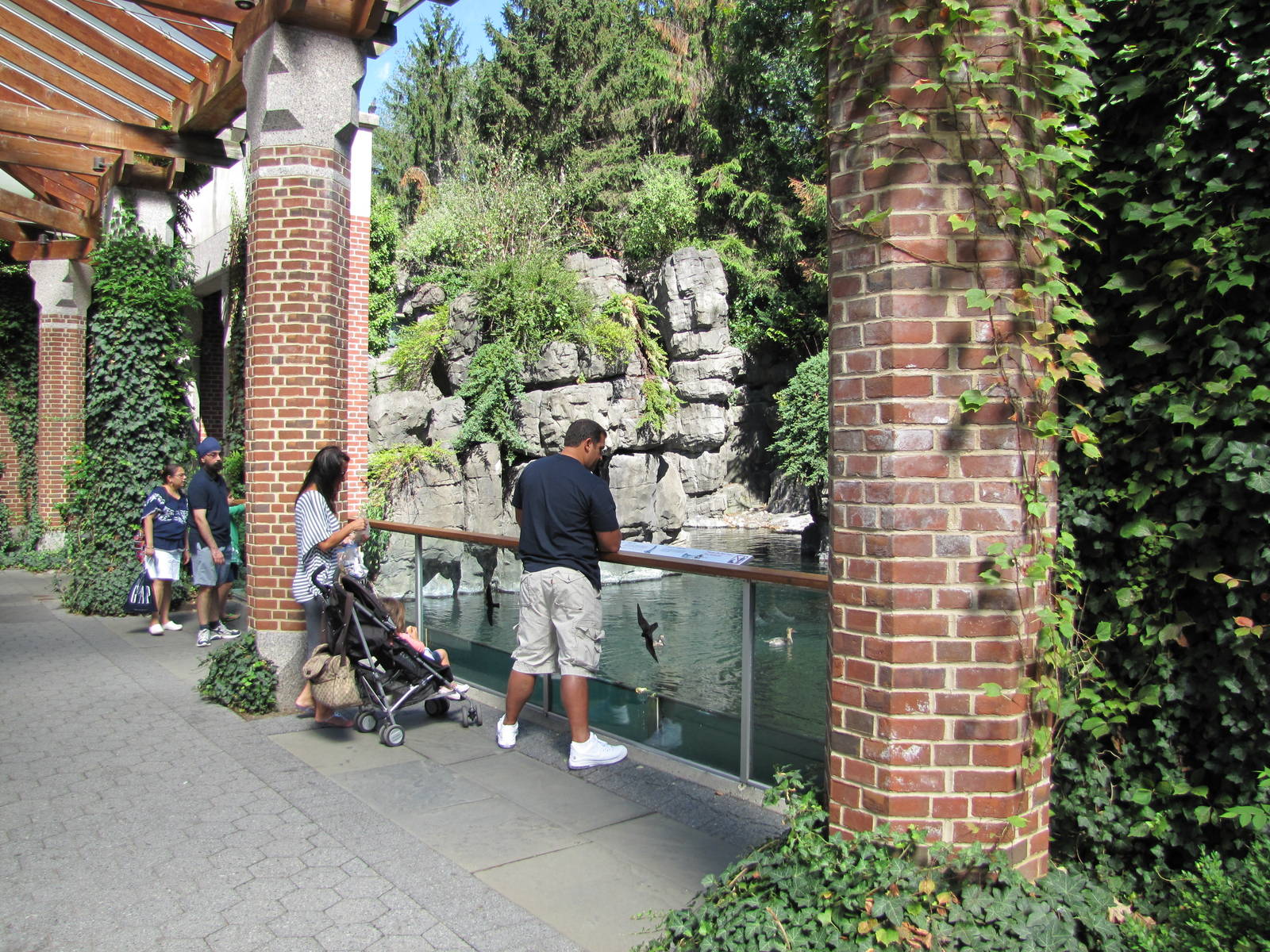 Central Park Zoo 2010 - Front of Common Seal exhibit