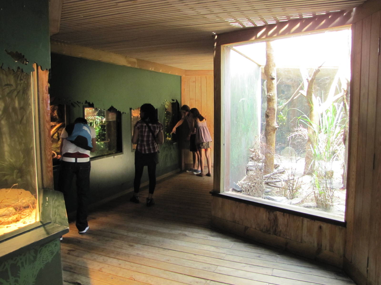 Central Park Zoo 2010 - General view inside Tropic Zone