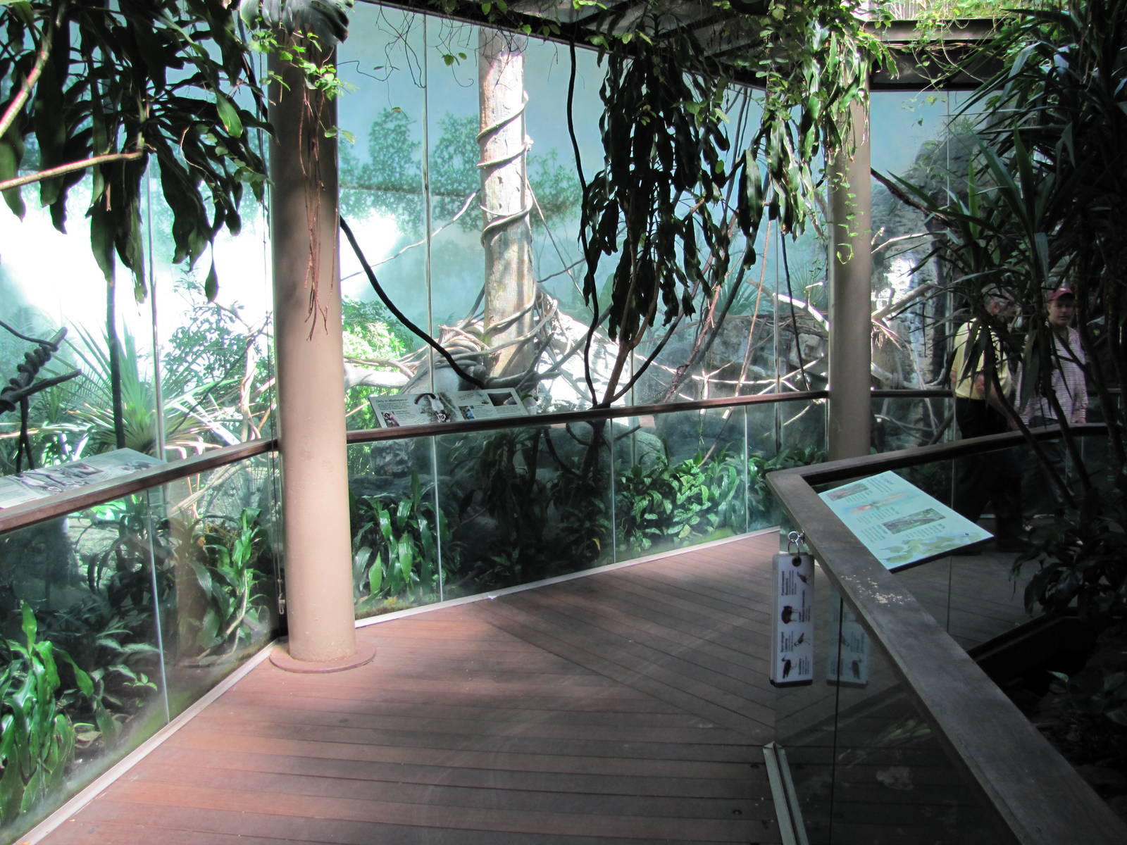 Central Park Zoo 2010 - General view inside Tropic Zone