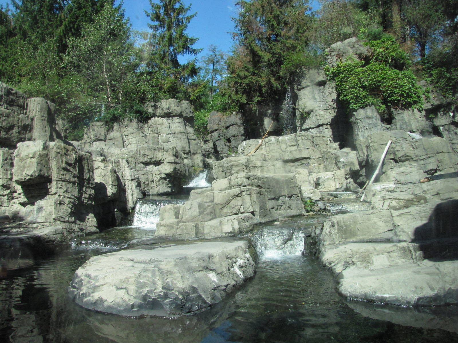 Central Park Zoo 2010 - Good part of the Polar Bear exhibit