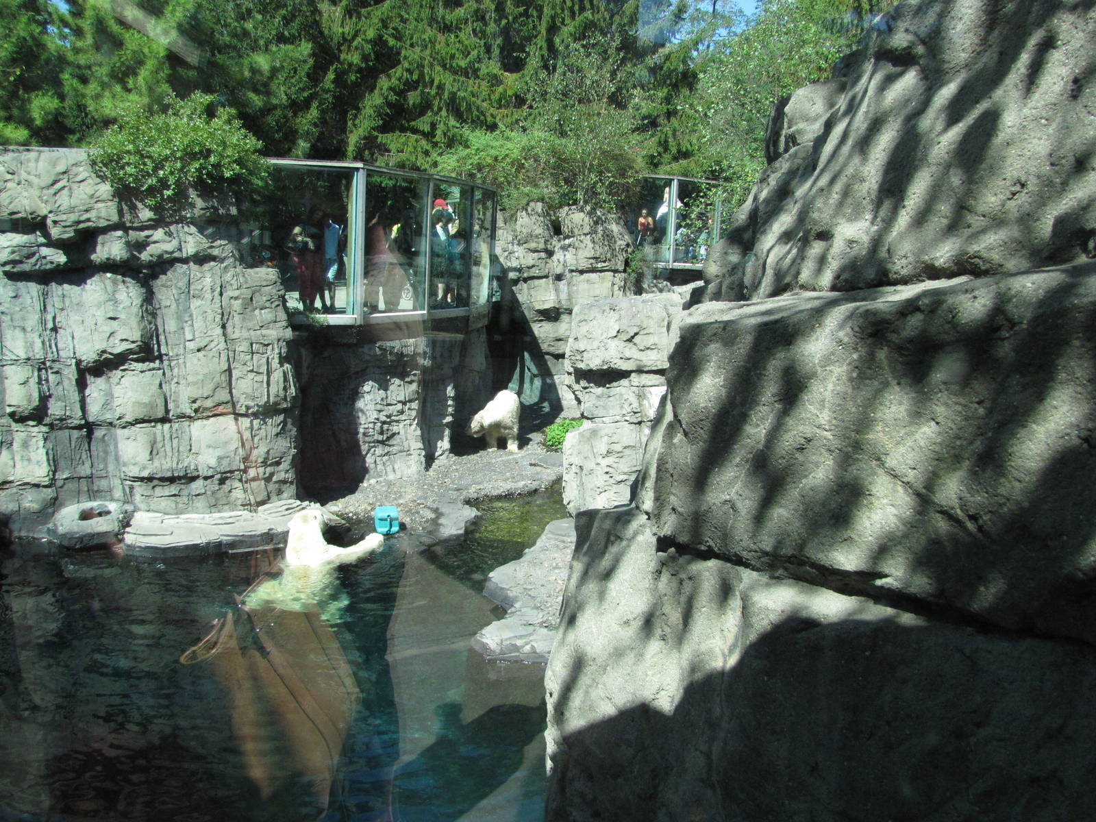 Central Park Zoo 2010 - Part of Polar Bear exhibit