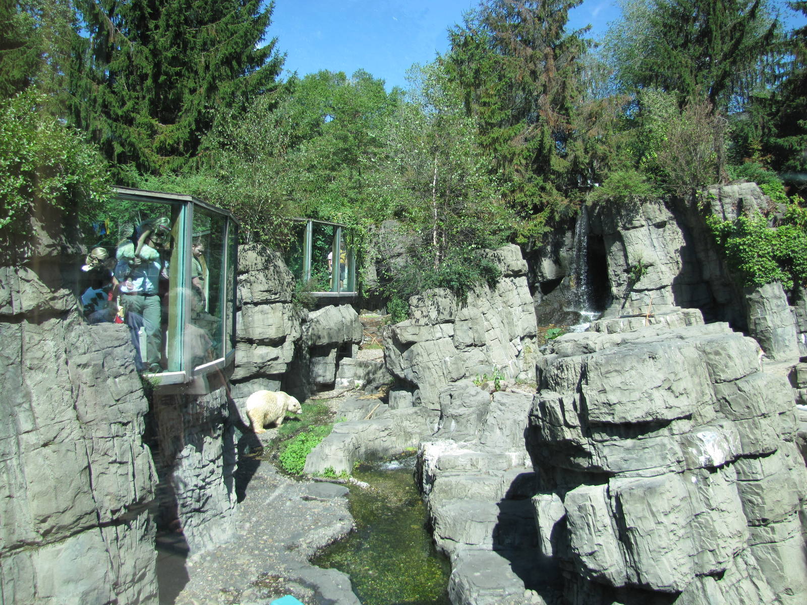 Central Park Zoo 2010 - Part of Polar Bear exhibit