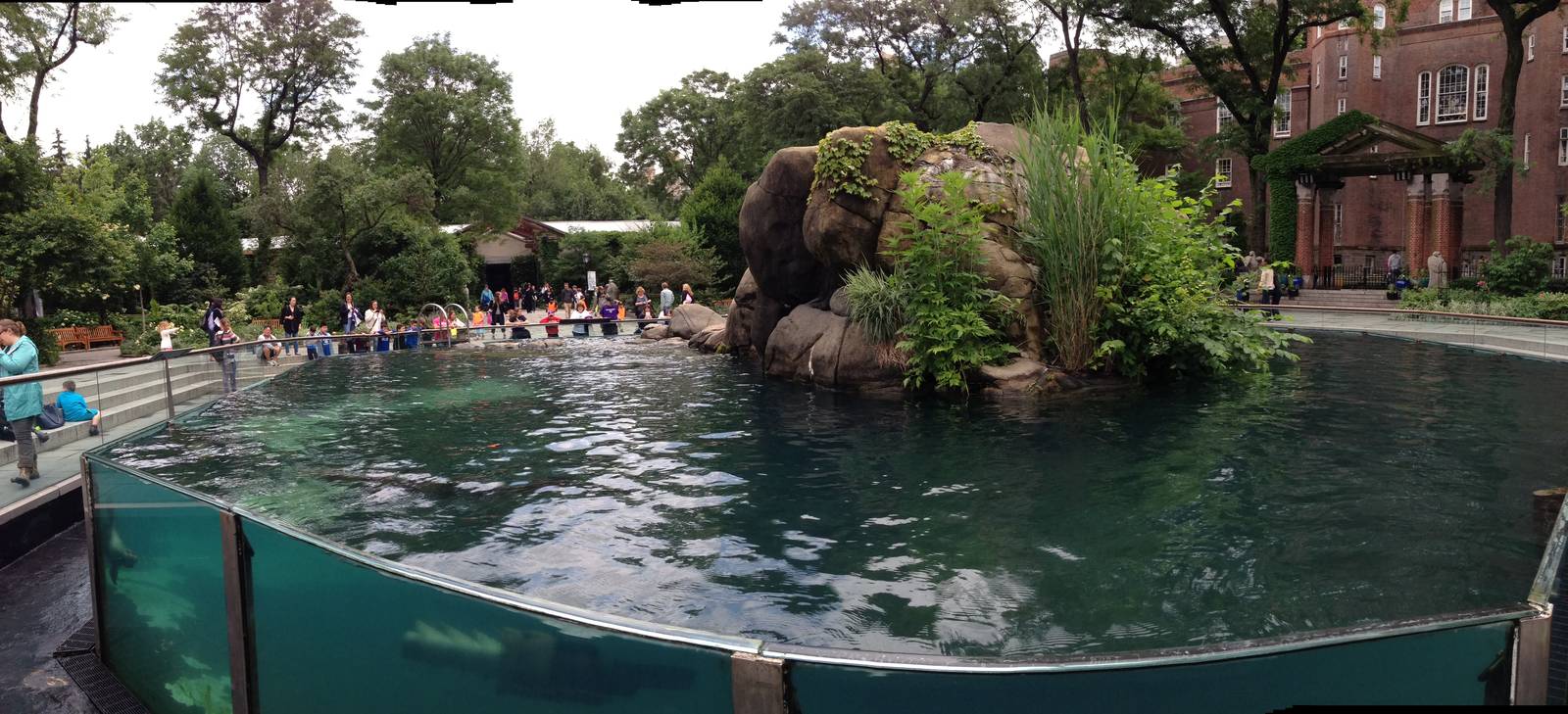 Central Park Zoo- California Sea Lion Exhibit
