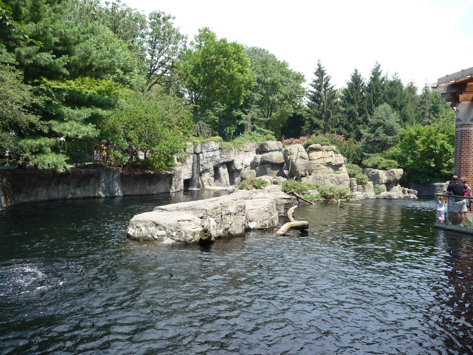 Central Park Zoo - Japanese Macaque Exhibit