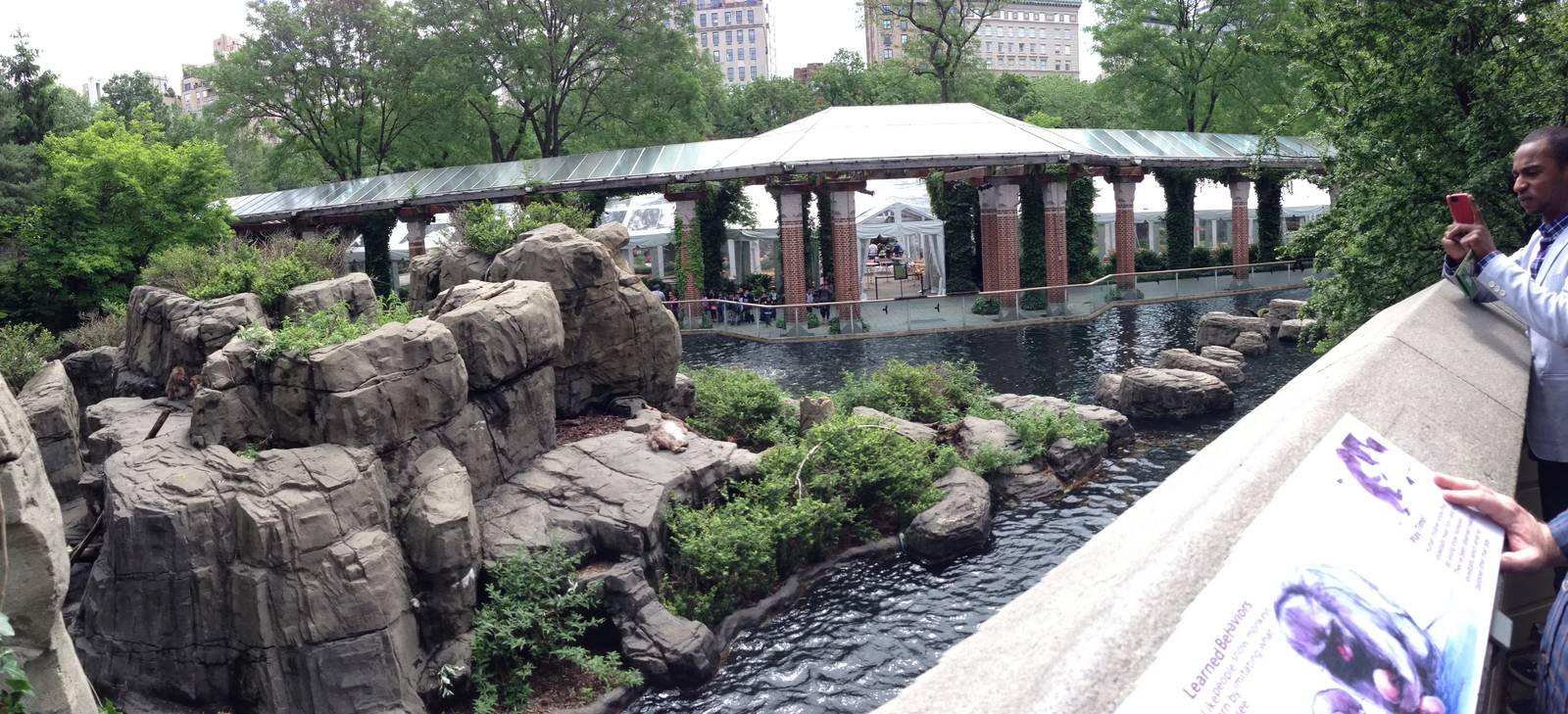 Central Park Zoo- Japanese Macaque Exhibit