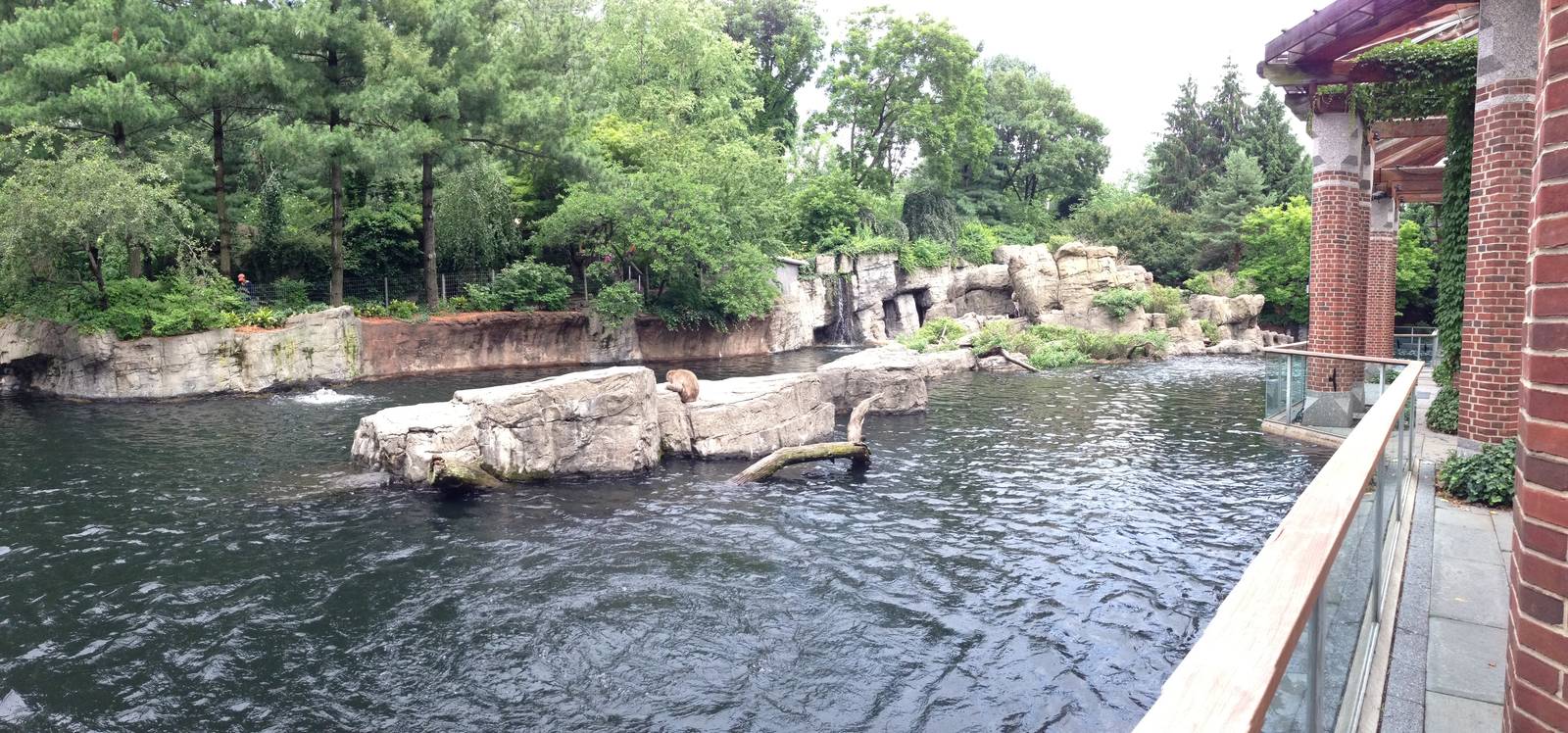 Central Park Zoo- Japanese Macaque Exhibit