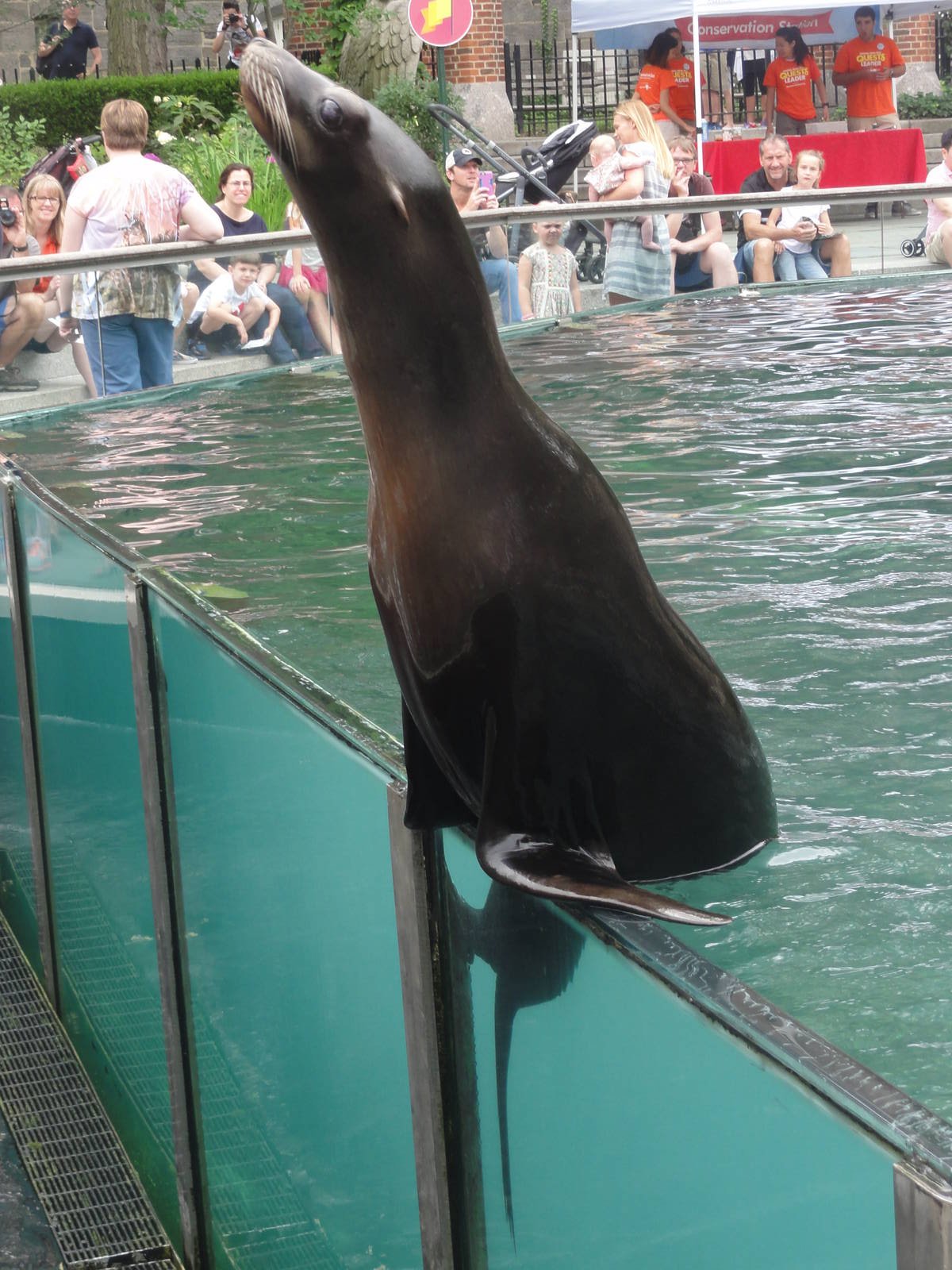 Central Park Zoo: July 2016