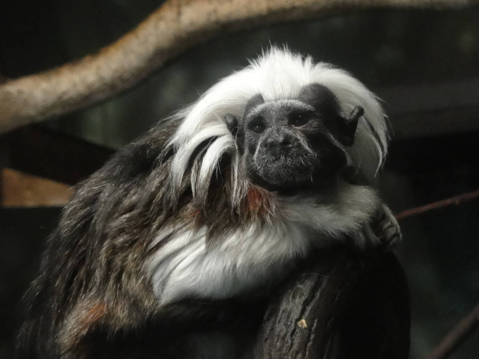 Central Park Zoo: July 2016