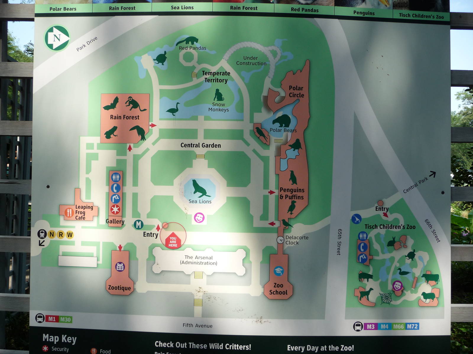 Central Park Zoo - Map