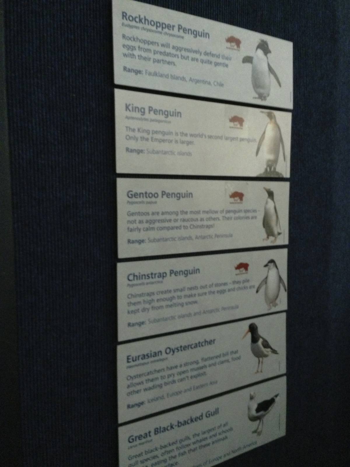 Central Park Zoo- Penguin Exhibit Species List