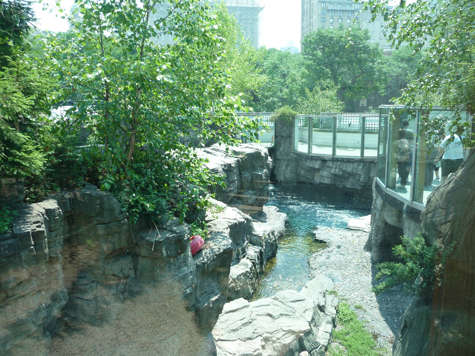 Central Park Zoo - Polar Bear Exhibit