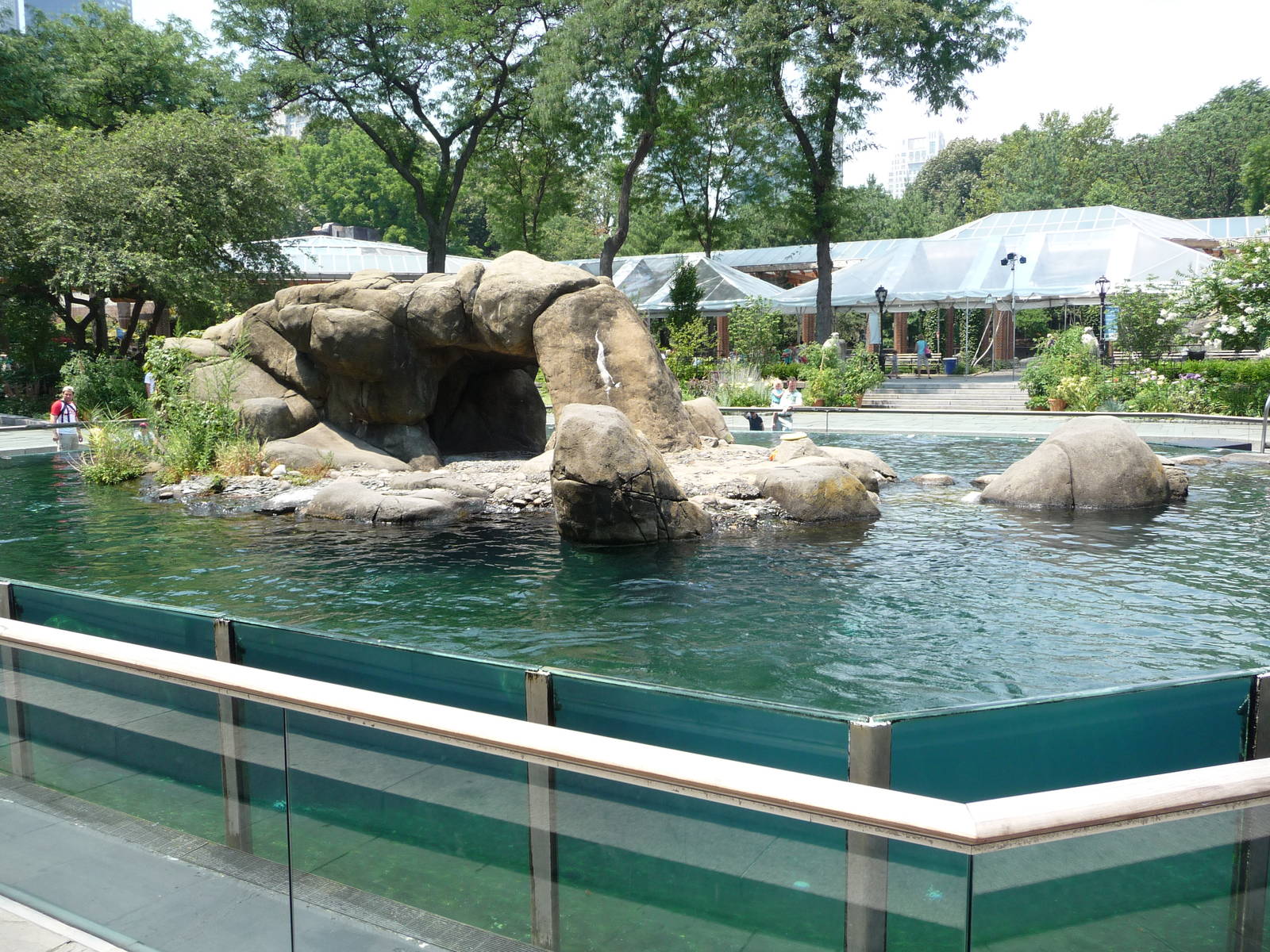 Central Park Zoo - Sea Lion Pool