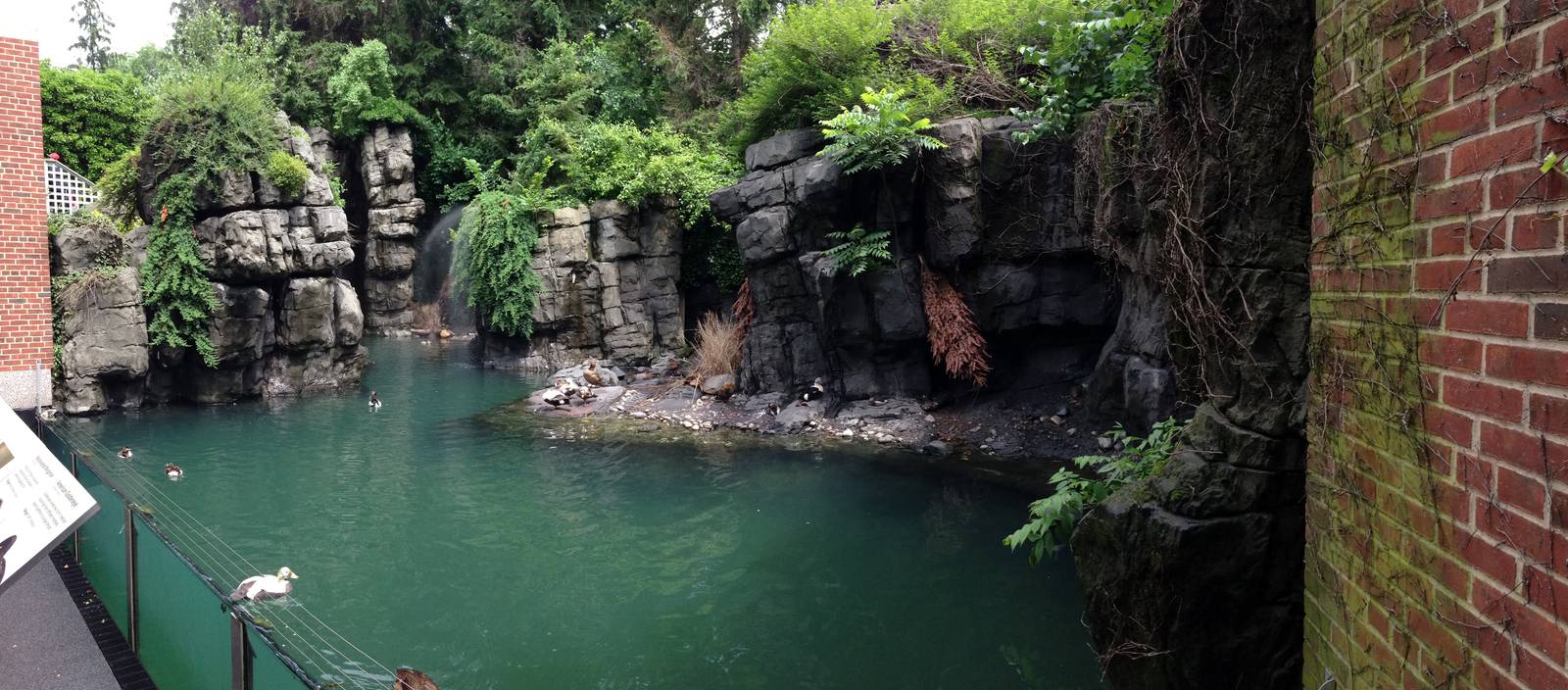 Central Park Zoo- Seabird Exhibit (Former Harbor Seal)