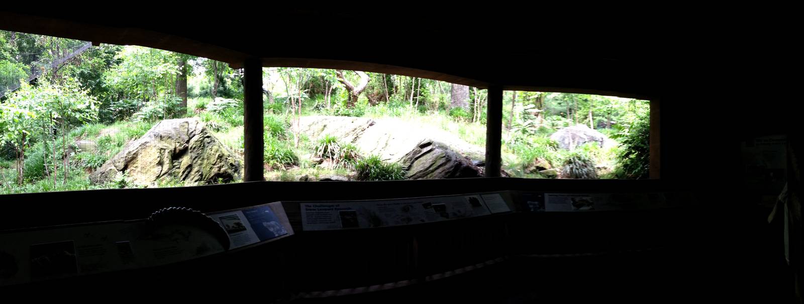 Central Park Zoo- Snow Leopard 2nd Exhibit