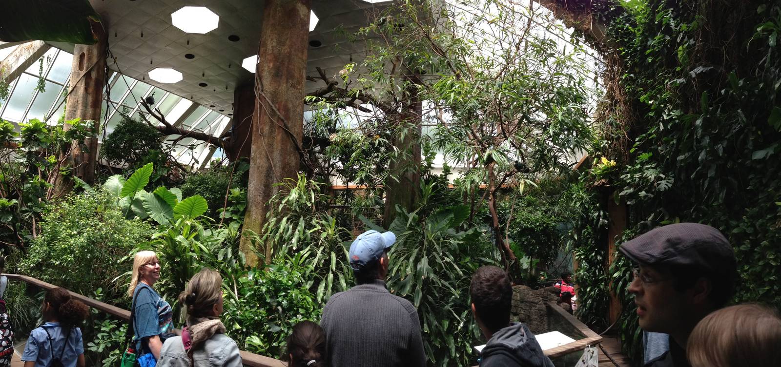 Central Park Zoo- Tropics Building