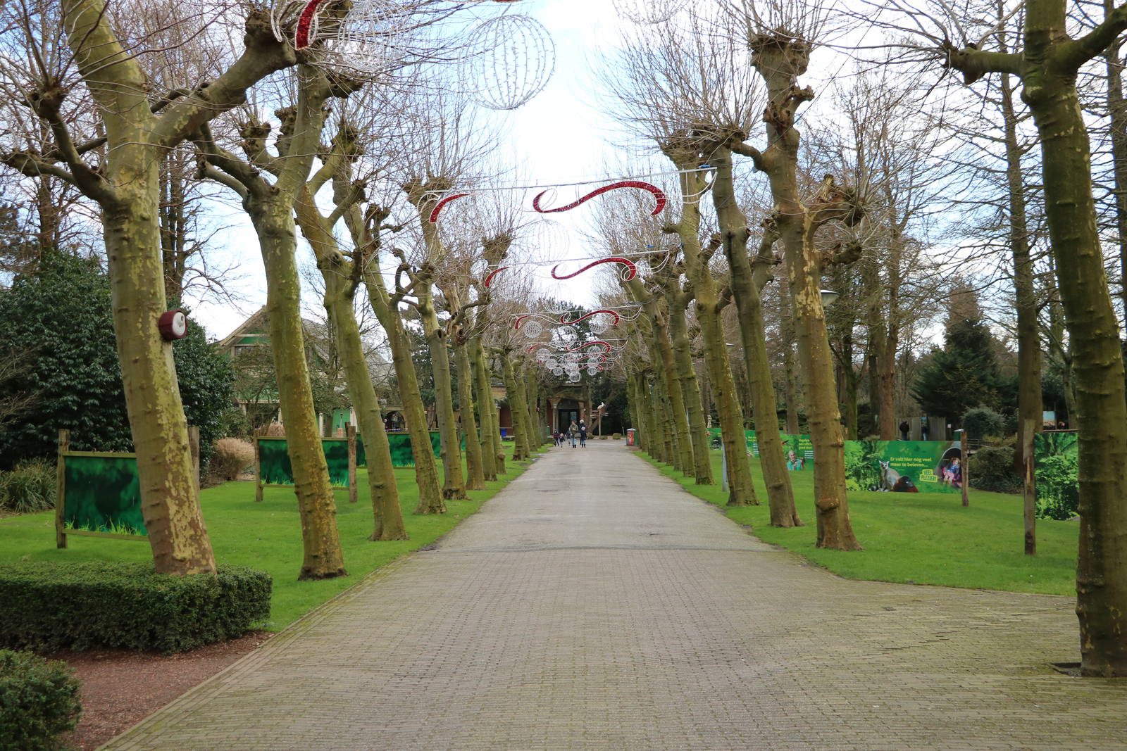 Central path, February 2016