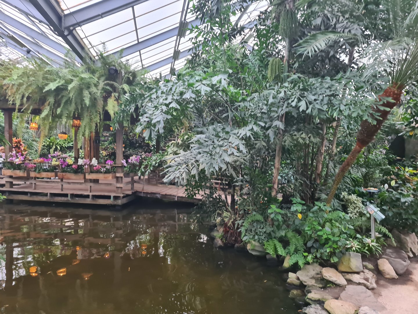 Central pond in Butterfly valley