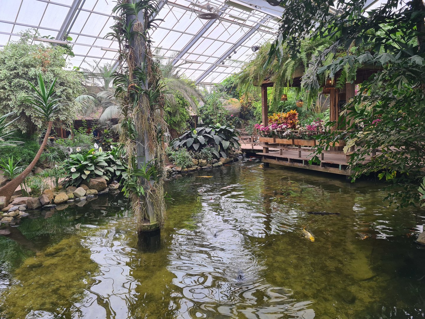 Central pond in Butterfly valley
