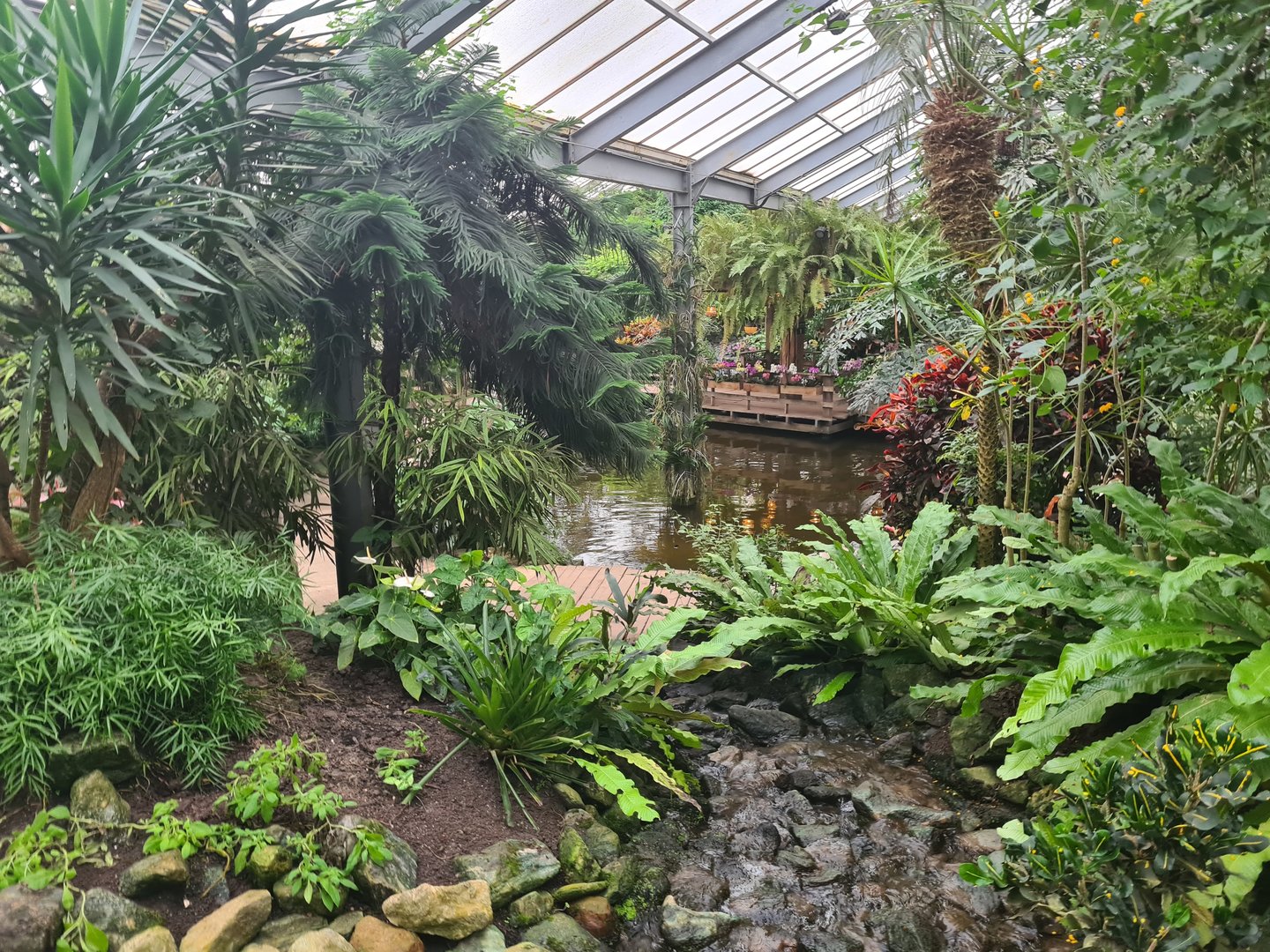 Central pond in Butterfly valley