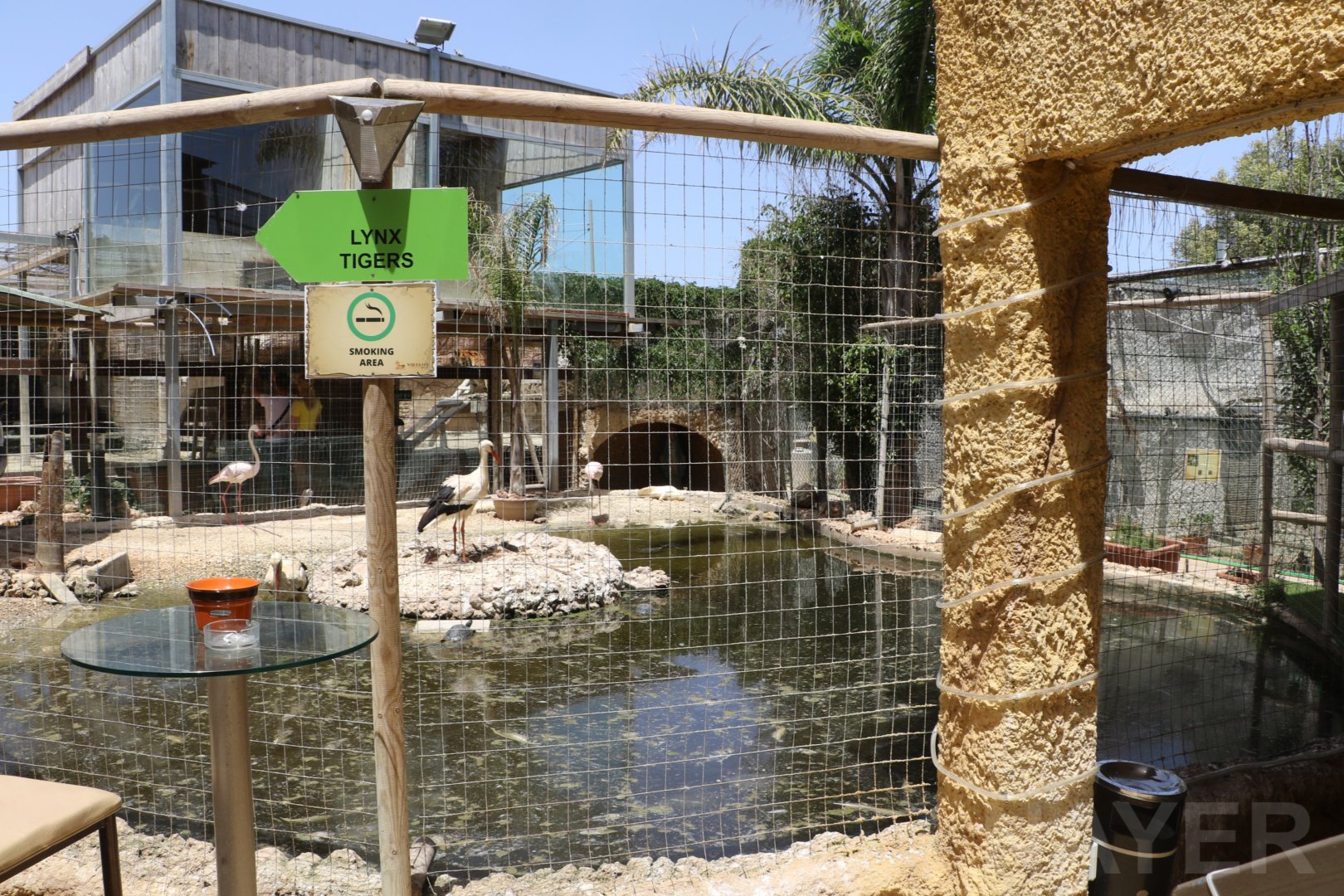 Central pond - Wildlife Park Malta, June 2019
