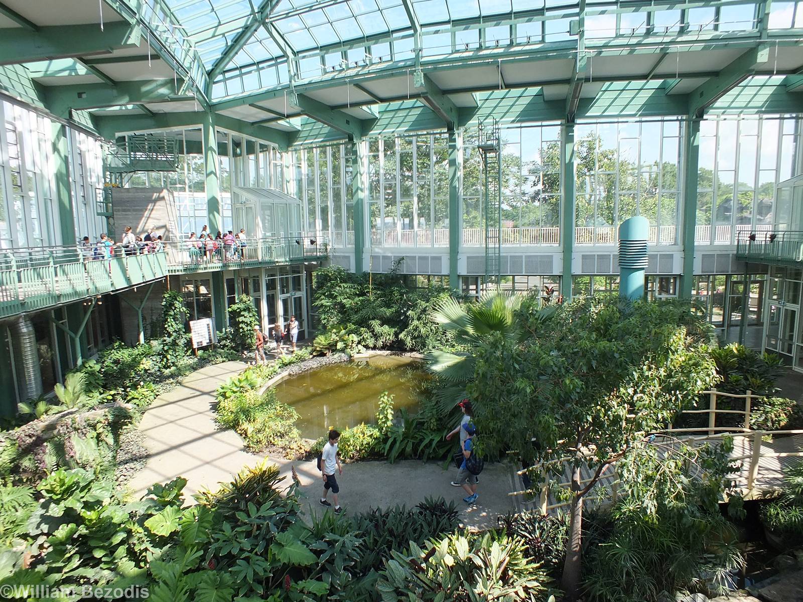 Central Rainforest Bit in the Alred Brehm Haus