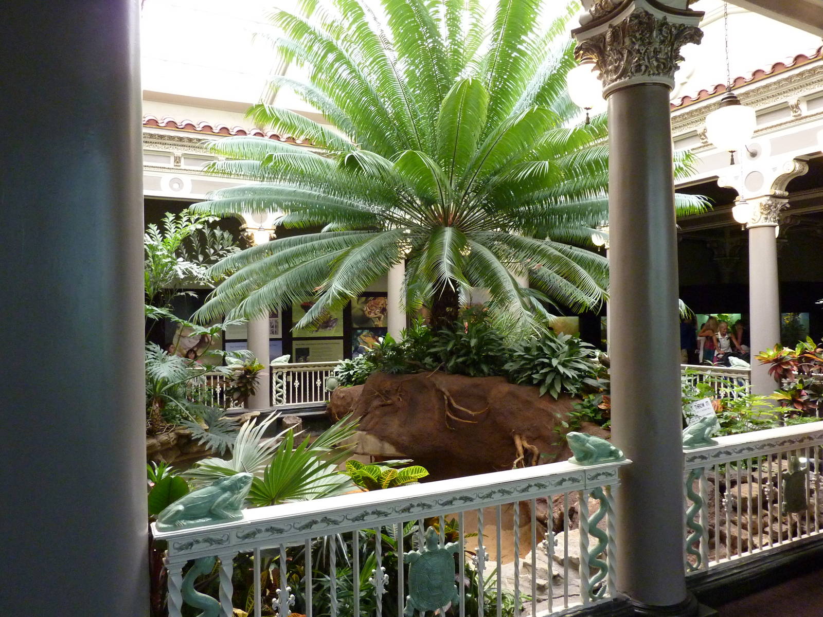 Central Rotunda - Forest Turtle Exhibit