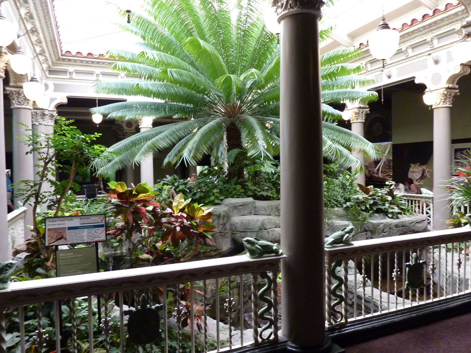 Central Rotunda - Forest Turtle Exhibit