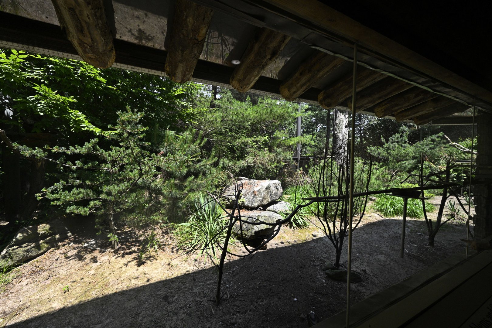 Central/South America - Desert Bird Exhibit