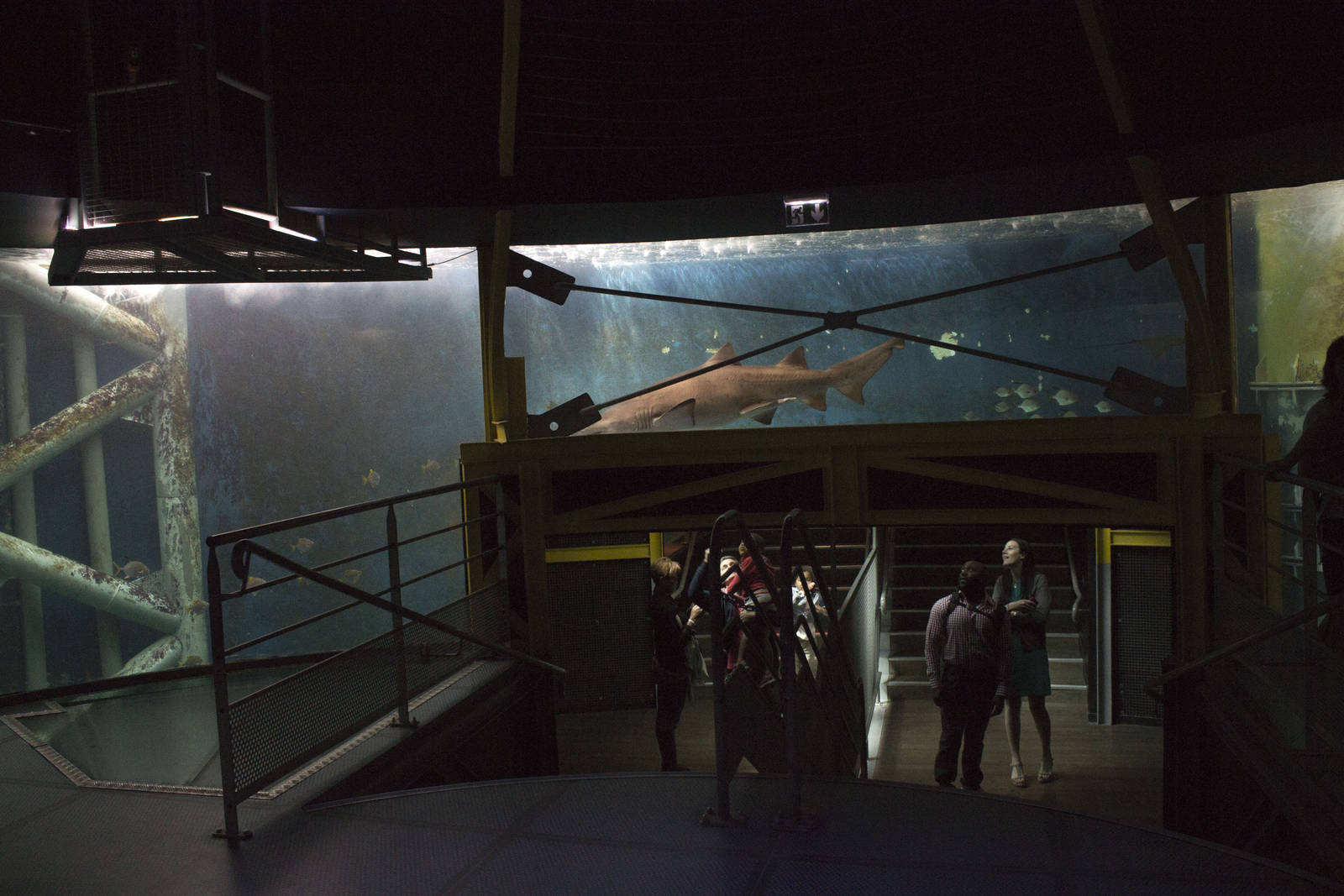 Central tank